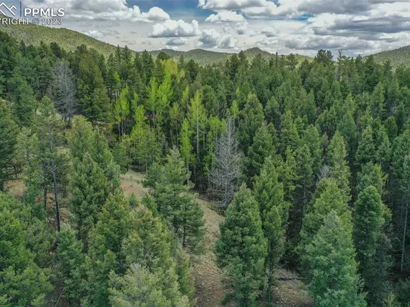 27 Midday Pl, Cripple Creek, CO 80813