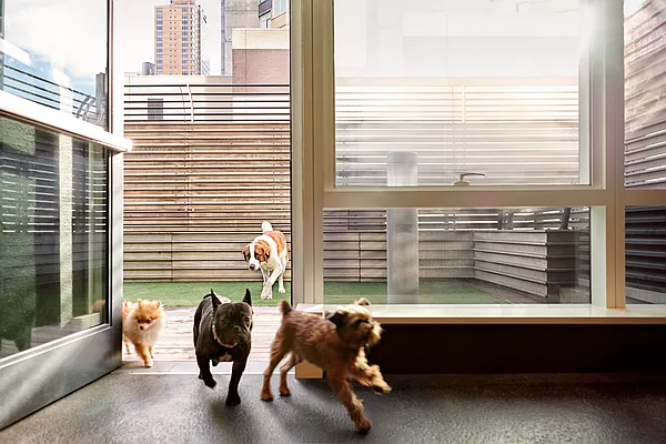 Rented by Square Realty Global Inc | media 8