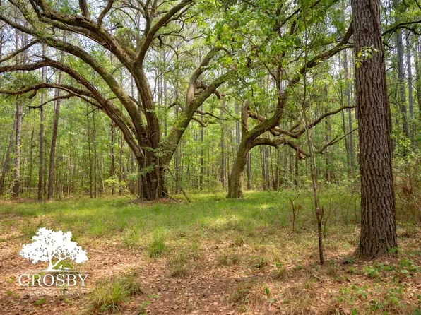 Red Root Rd, Ruffin, SC 29475
