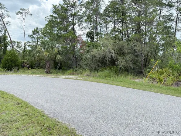 0 Bahama Swallow Ave, Brooksville, FL 34613