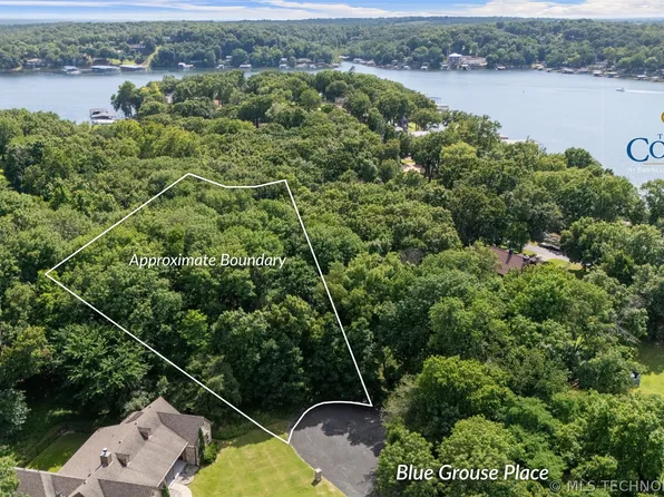 Blue Grouse Pl, Afton, OK 74331