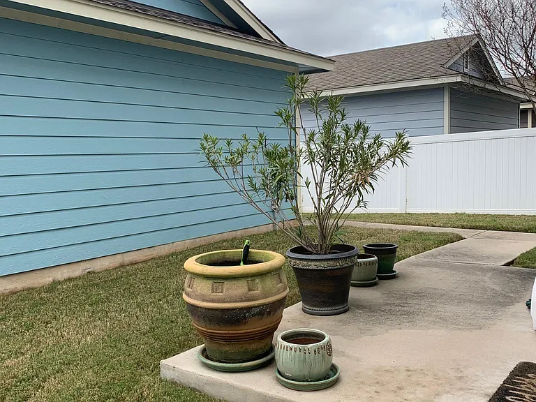 Back yard and patio