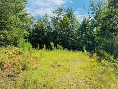 12 Hidden Ln, Murphy, NC, 28906