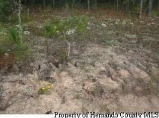 10231 Eustace St, Spring Hill, FL 34608