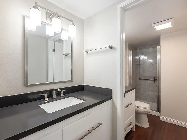 Master bathroom