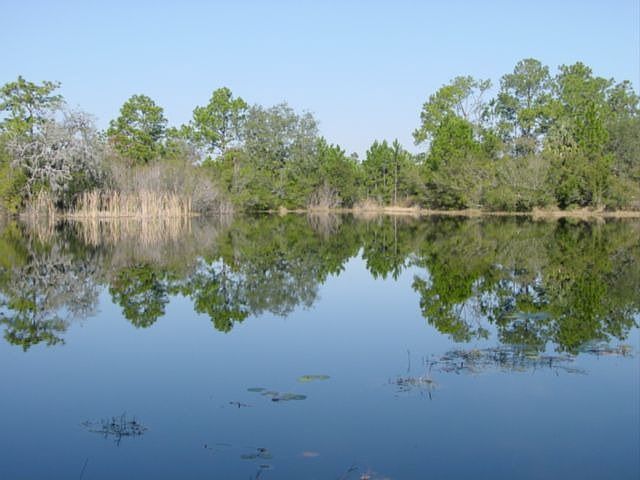 Spring fed pond