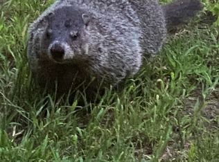 588 Appalachian Hwy, Blue Ridge, GA 30513