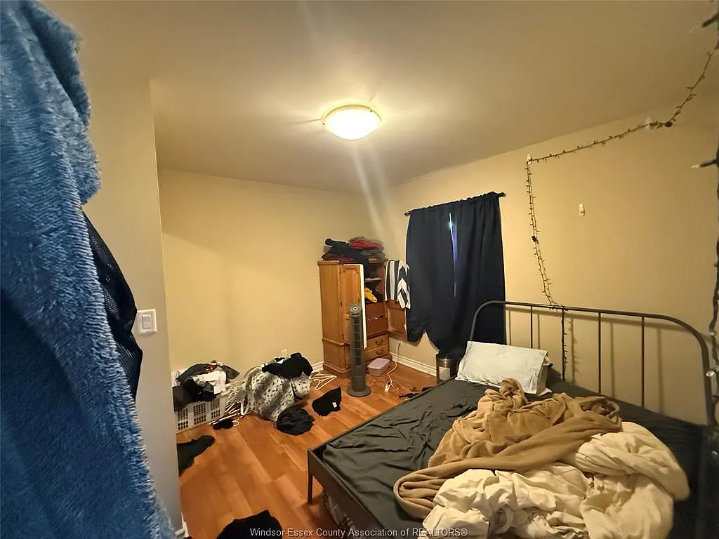 1 bed, $1,550 — Photo 3