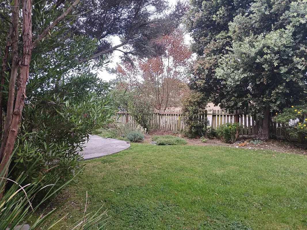 1 bed, 1.0 bath, 1000 sqft, $3,550 — Photo 2
