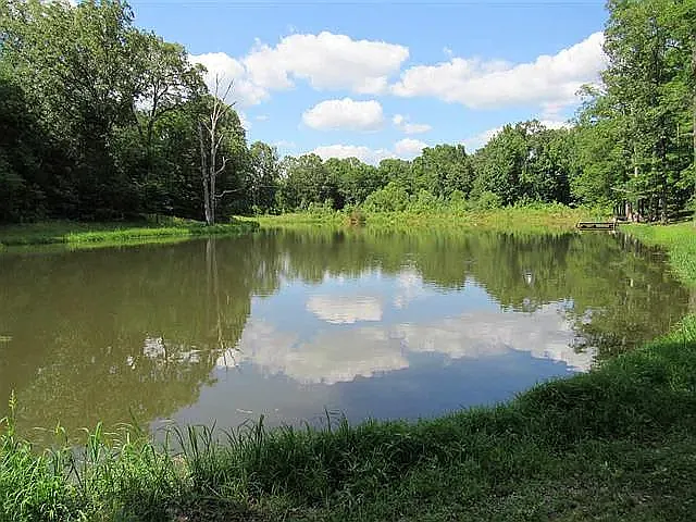 3208 Highway 309 Hwy N — Photo 5