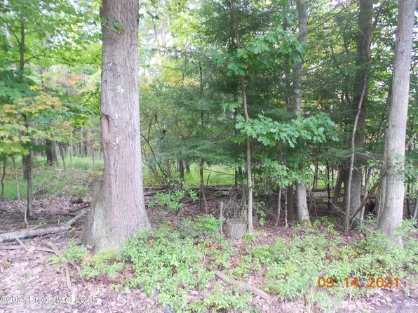 2 Bodle Rd, Dallas, PA 18612