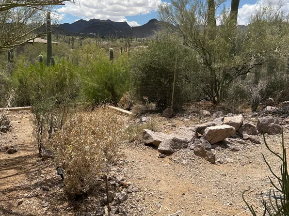 3053 N Camino De Oeste, Tucson, AZ 85745