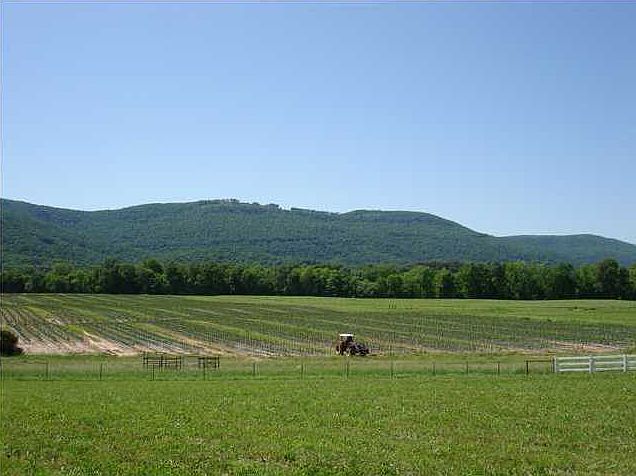 1st image of 20 Little Ponderosa Trl