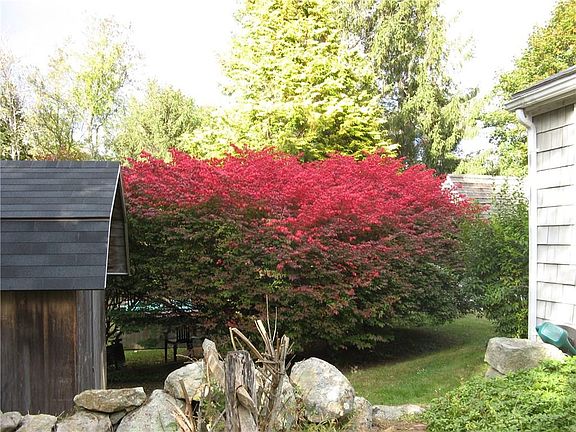 4th image of 15 Maple Dr