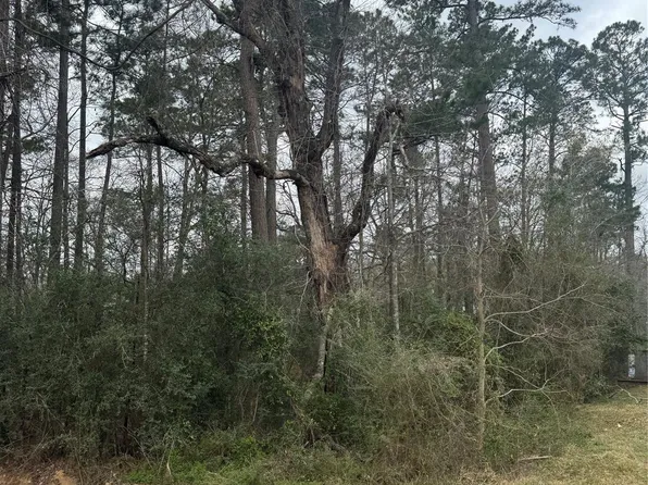 14871 Fannin Rd, Willis, TX 77378