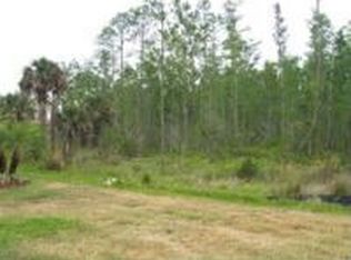 370 Indian Wells Ave, Poinciana, FL 34759