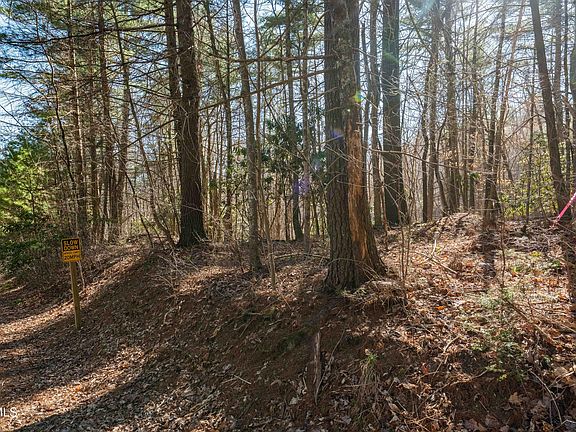 4th image of LOT 39 Bear Ridge Dr