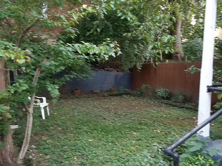 Fenced Back Yard