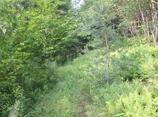 Pine Swamp Rd, Swamp rd, NY 13839