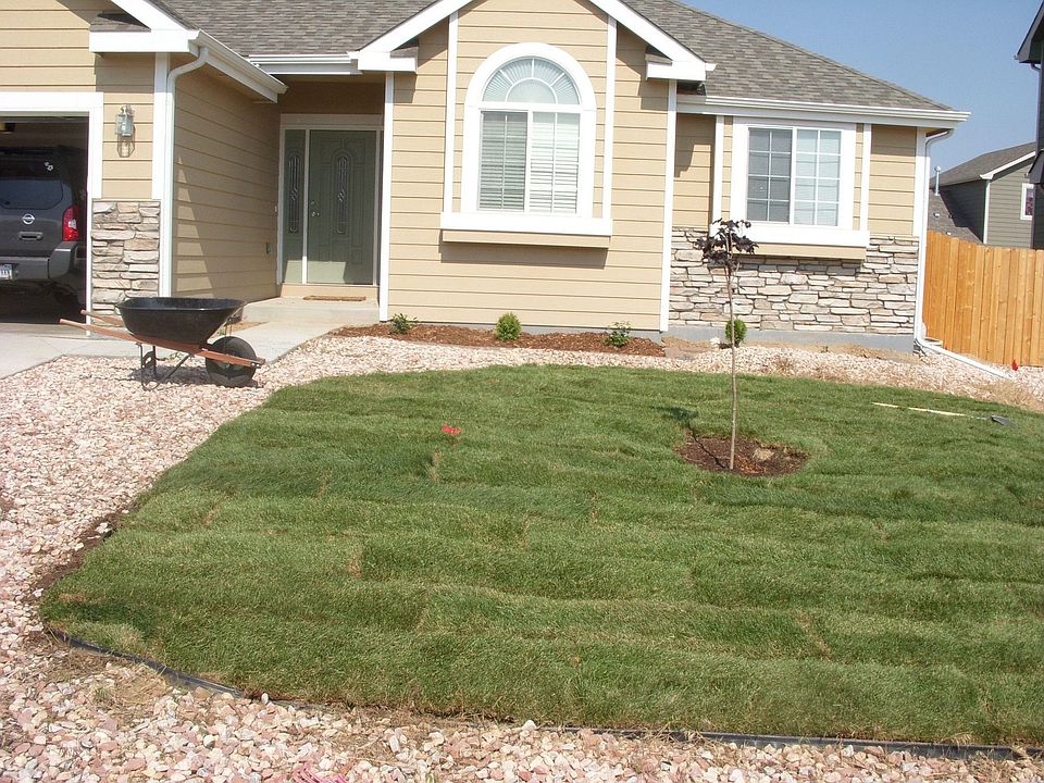 Laying sod!