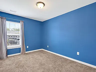 217 Button Willow St — Photo 16