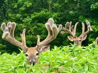 0 Guinns Cove Rd #1, Hayden, AL 35079