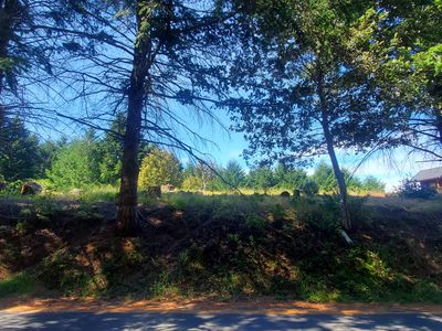 444 Ridge Rd, Whitethorn, CA, 95589