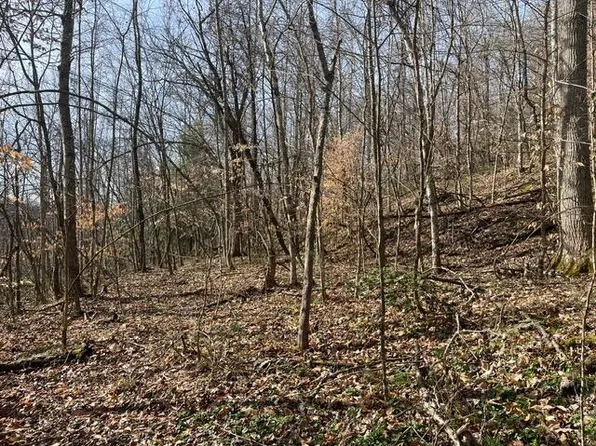 326 Earl Crisp Rd, Sandy Hook, KY 41171