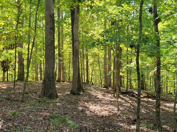 0 Tanglewood Ln, Nashville, IN 47448