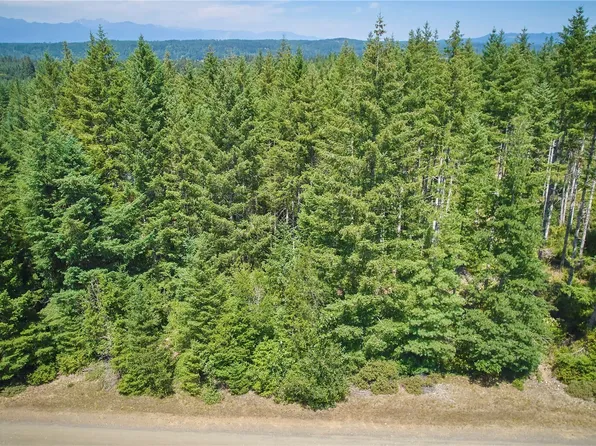 500 E Morris Creek Drive, Belfair, WA 98528