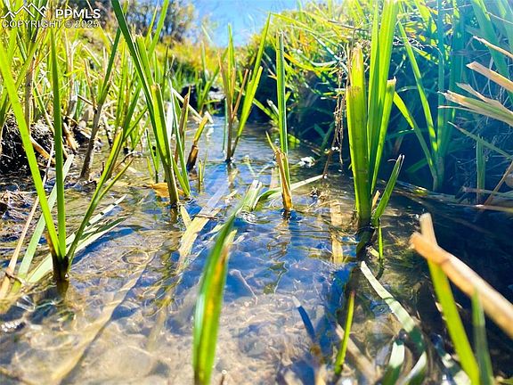 5th image of Rosebush Rd