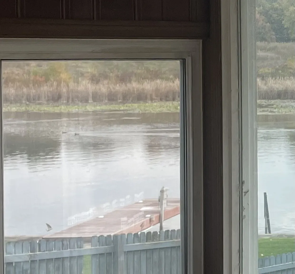 1 bed, 1000 sqft, $1,550 — Photo 3