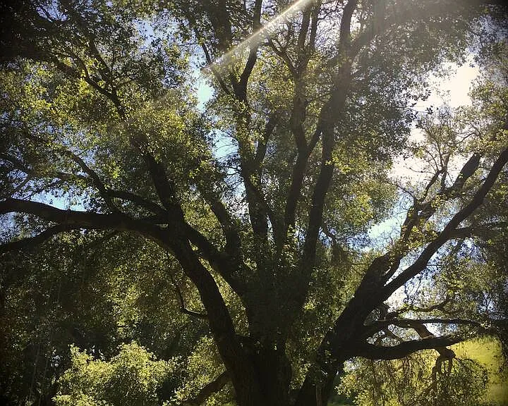 San Marcos Pass Rd — Photo 22