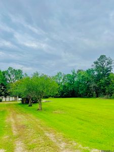 42 Tbd Hwy, Livingston, LA, 70754