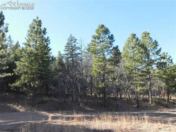 6294 Troon Ct, Larkspur, CO 80118