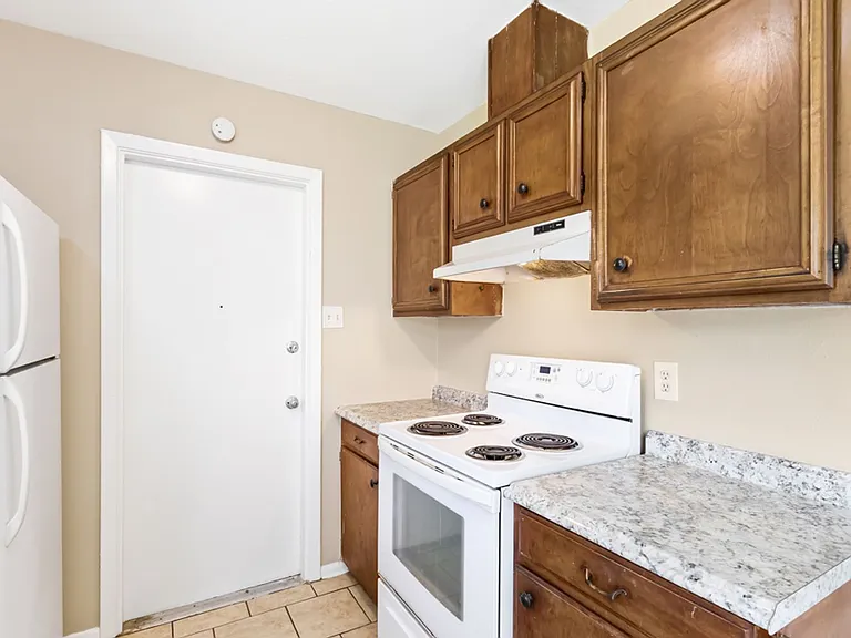 4518 Clear Spring Dr — Photo 10