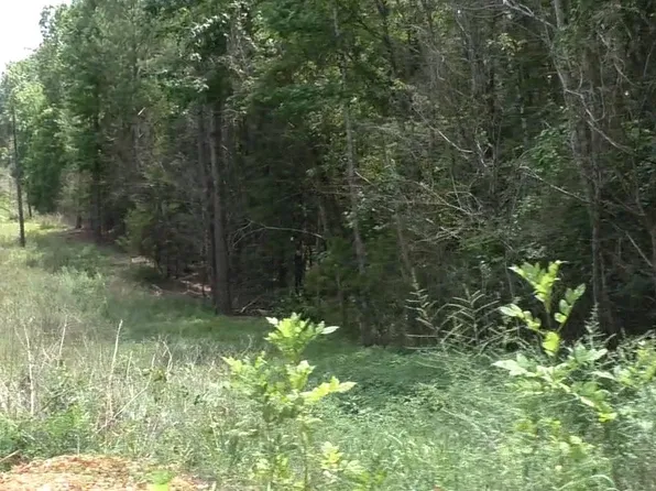 0 Corsbie Hill Rd, Cherokee, AL 35616
