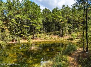 1886 Gentle Breeze Rd, Middleburg, FL 32068