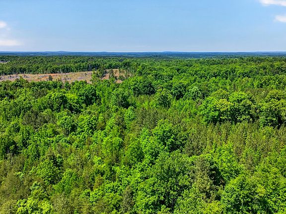 4th image of LOT 2 Gowdeysville Rd