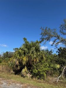 Button #6, North Pt, FL, 34286