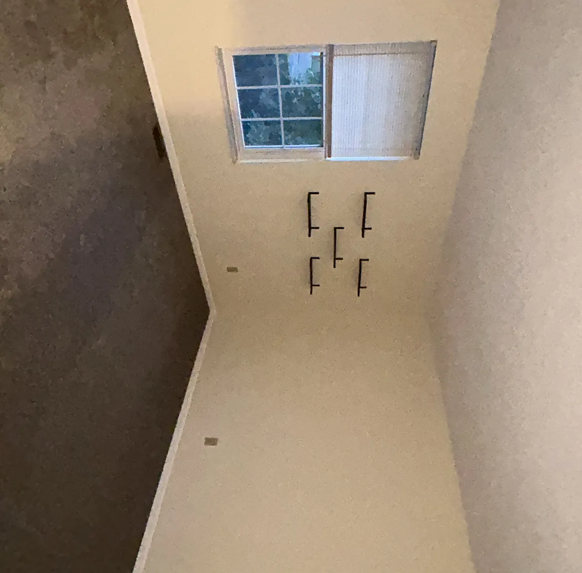 2 bed, 1.5 bath, 980 sqft, $1,200 — Photo 2