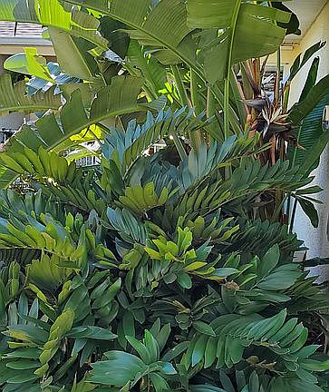 Beautifully landscaped