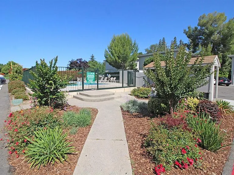 Sunridge — Photo 10