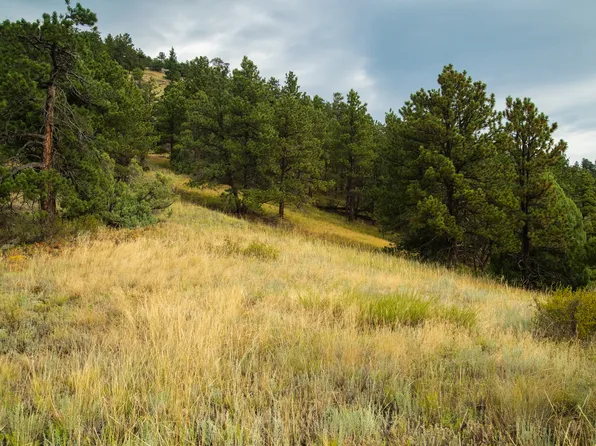 75 Sugarloaf Rd, Boulder, CO 80302