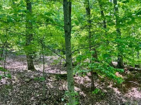 220 Yanegwa Knl, Jasper, GA 30143