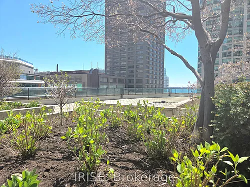 16 Yonge St Photo 1