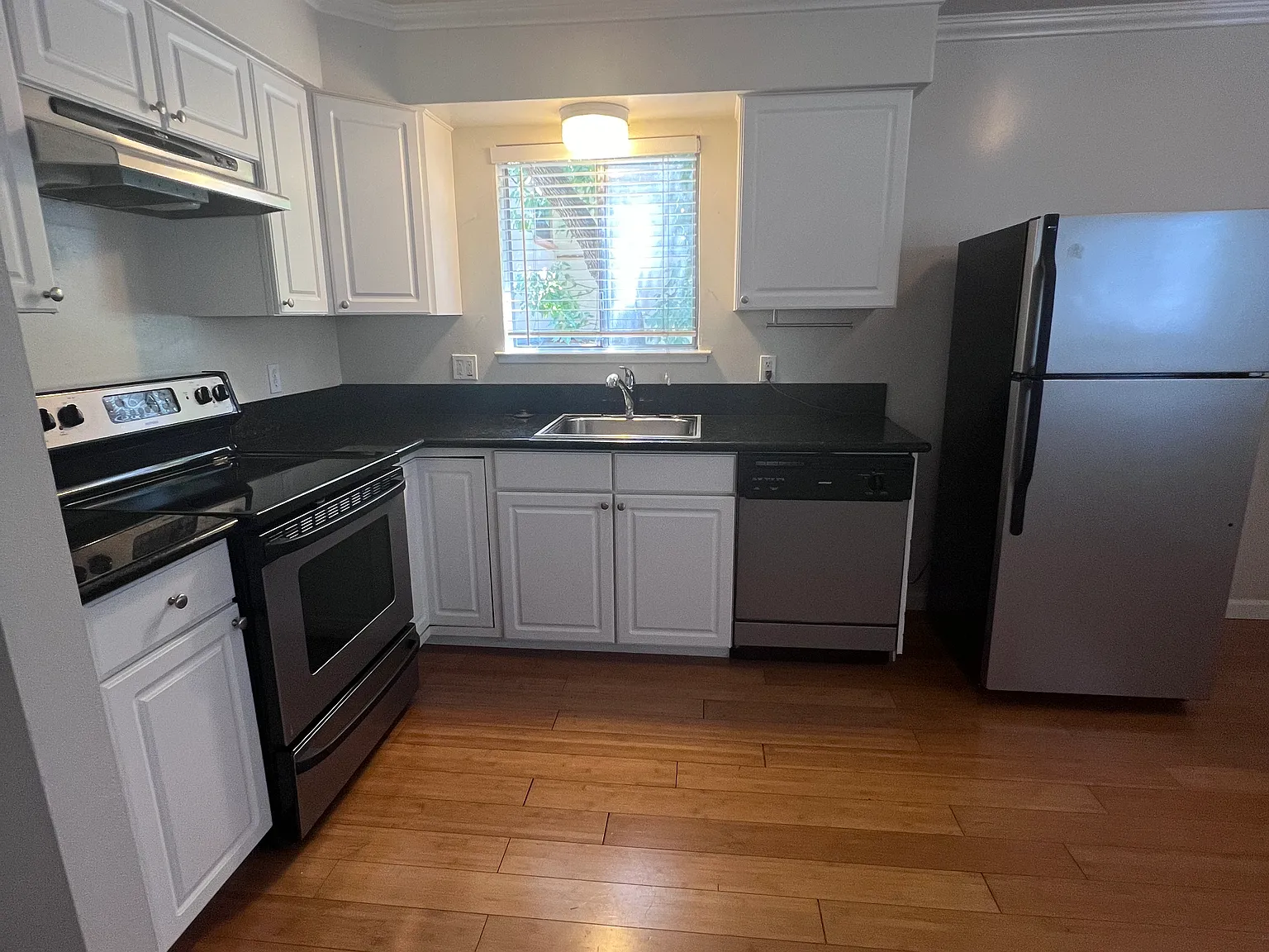 1 bed, 550 sqft, $1,500 — Photo 3