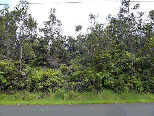 2nd image of Nahelenani St