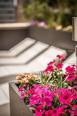 Rented by Mirador Real Estate | media 14