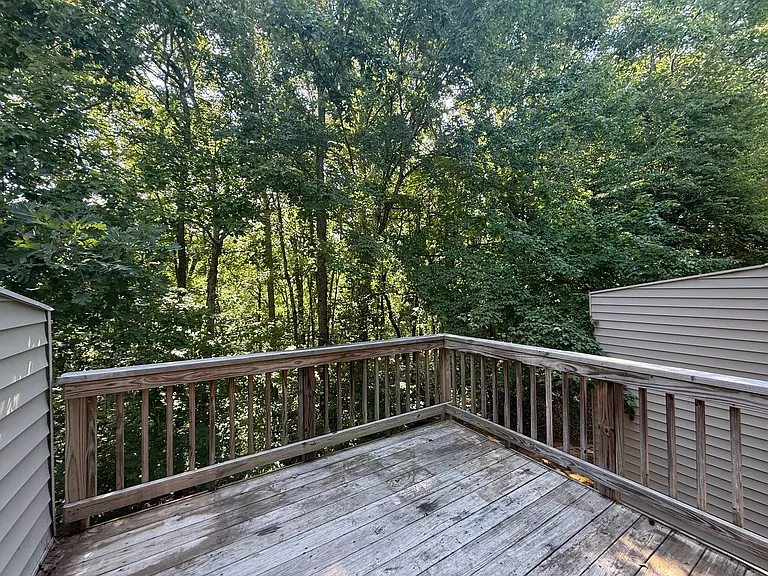 117 Hill Shore Ln — Photo 9